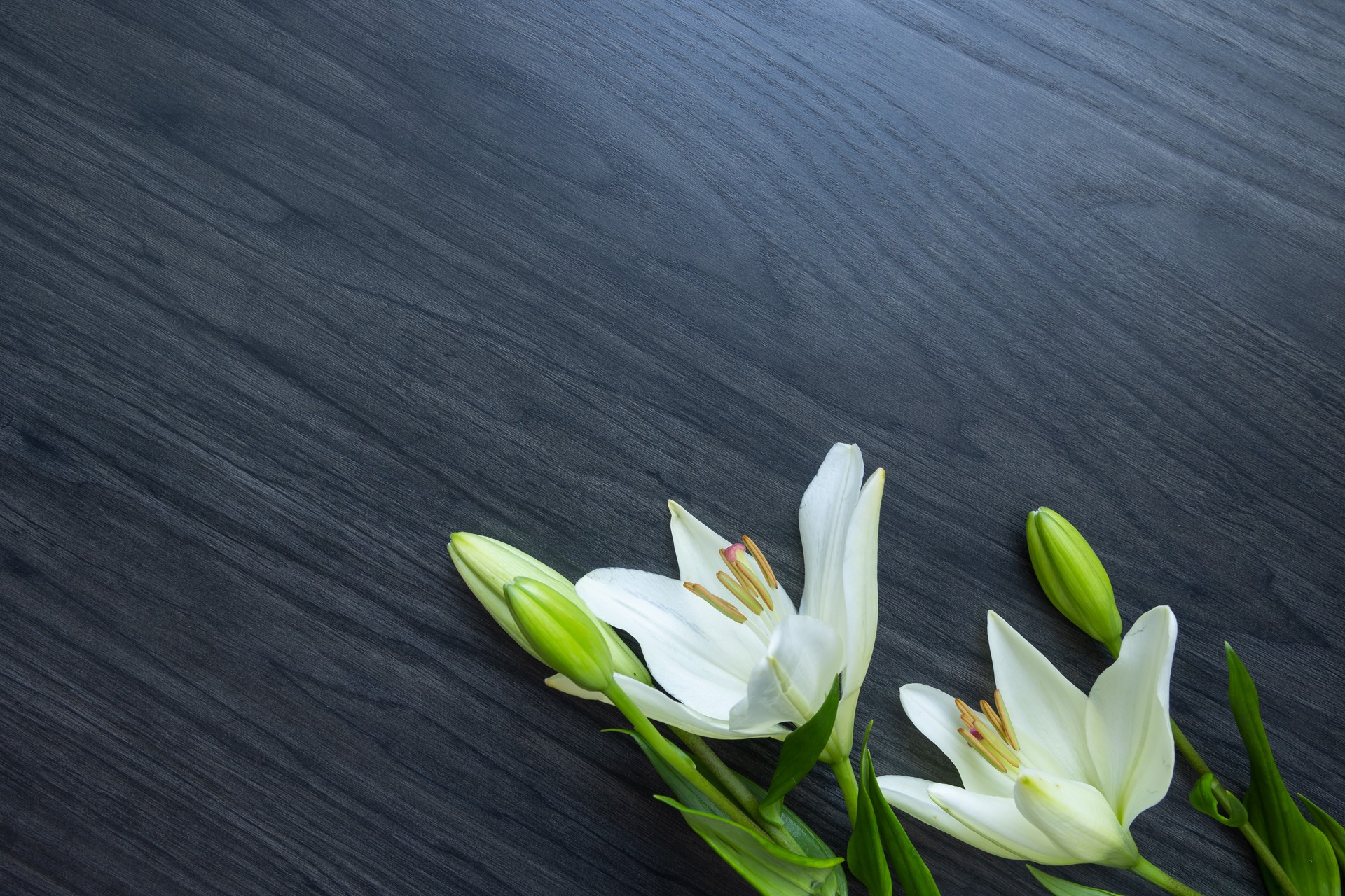 White lilies on wood